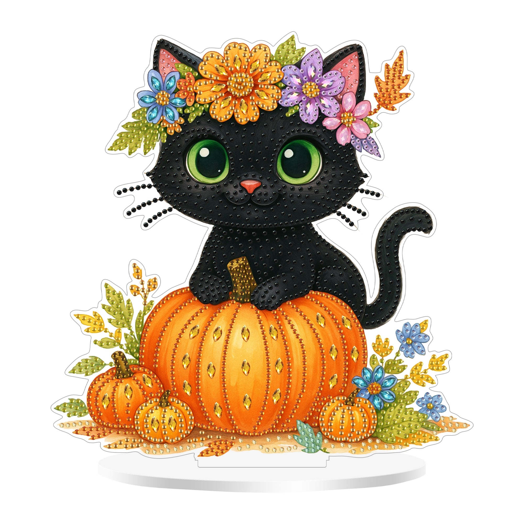 The Black Cat on the Pumpkin