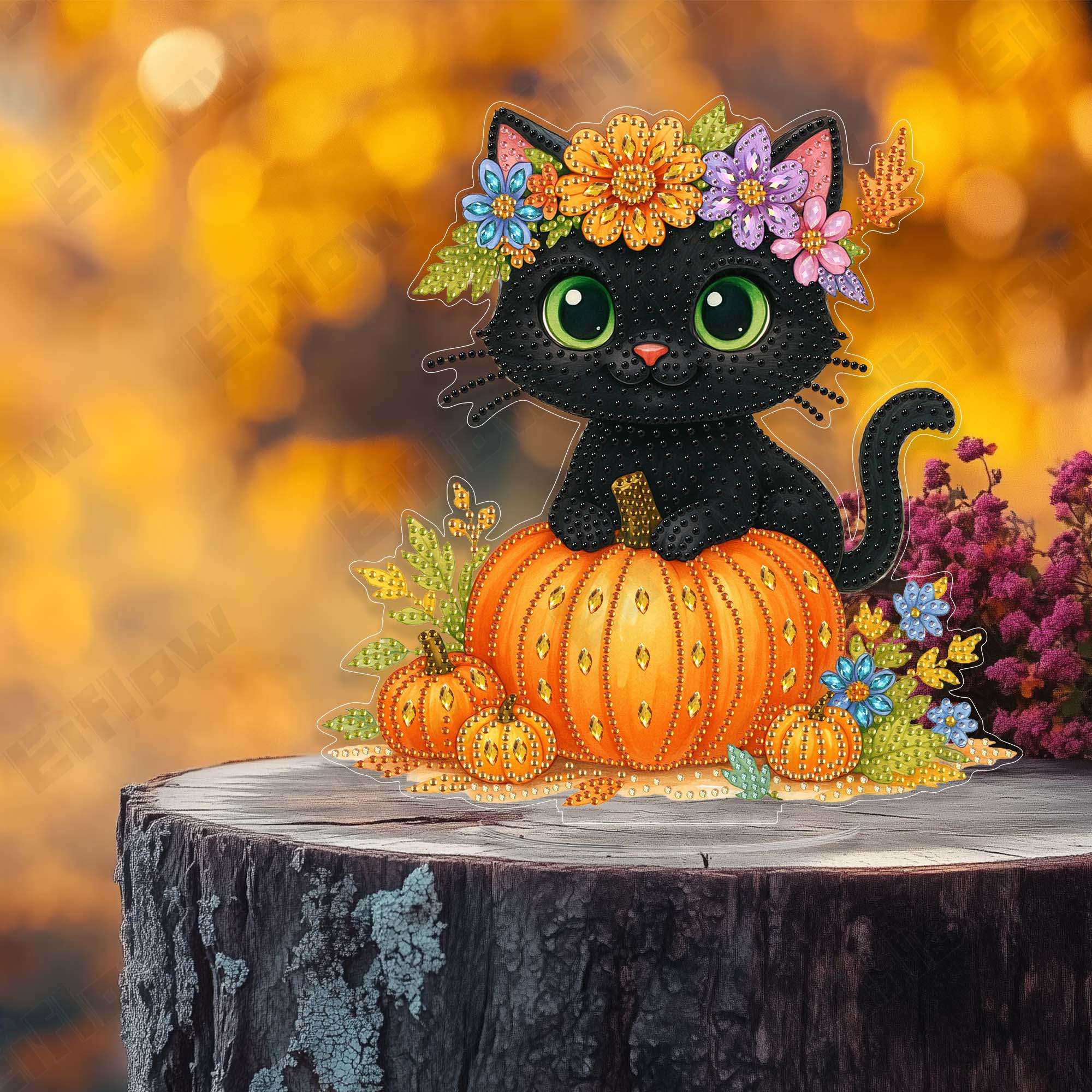The Black Cat on the Pumpkin