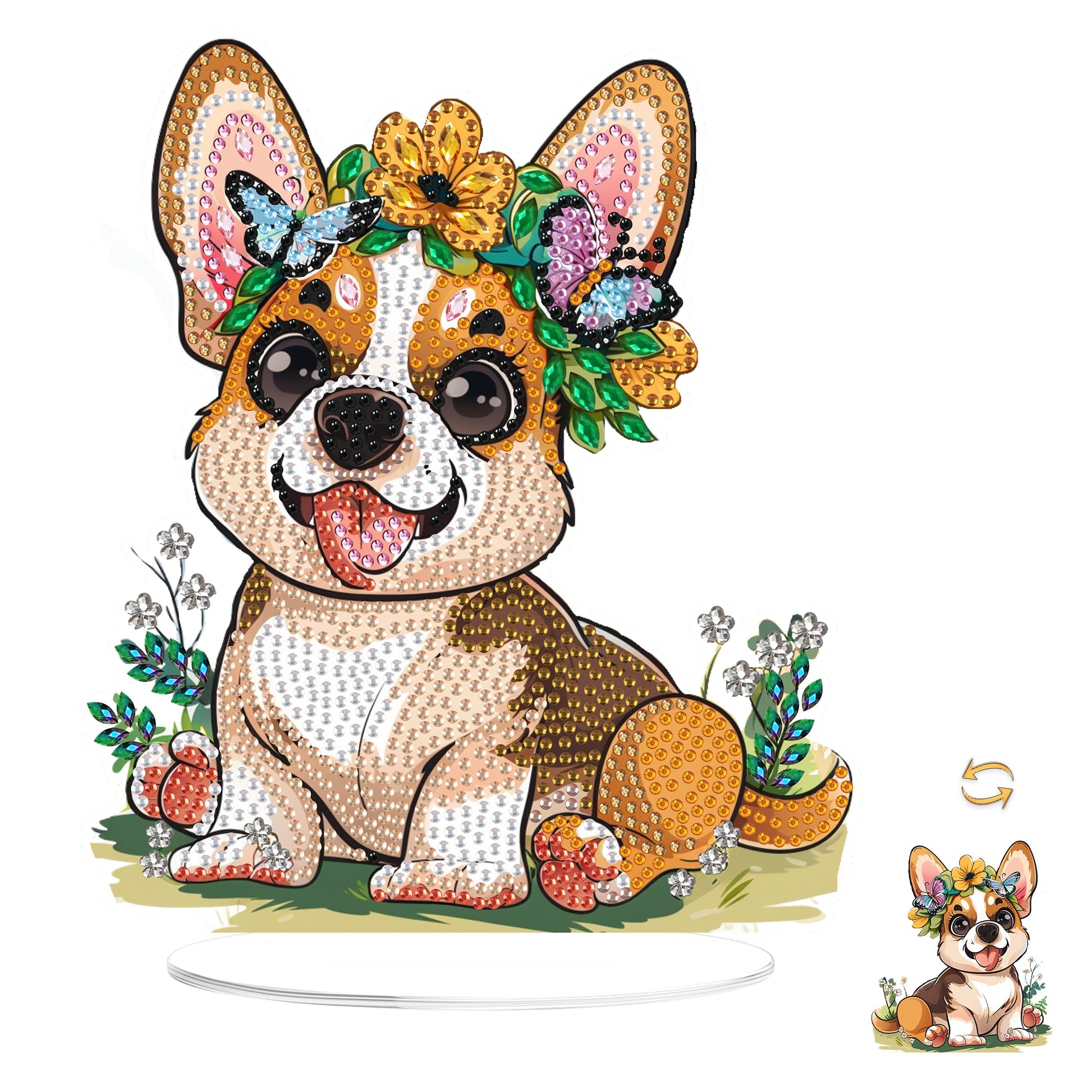 Corgi Dog