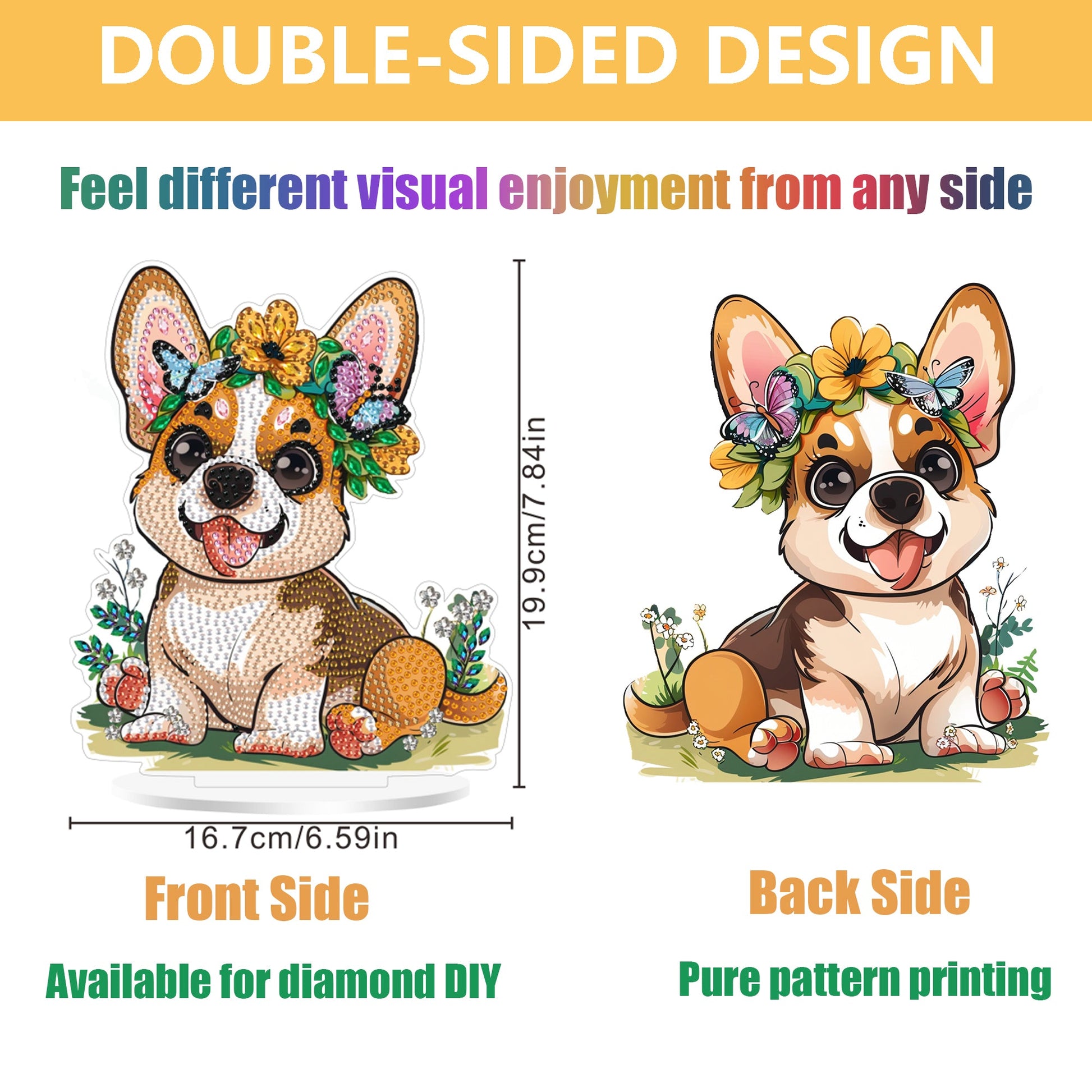Corgi Dog