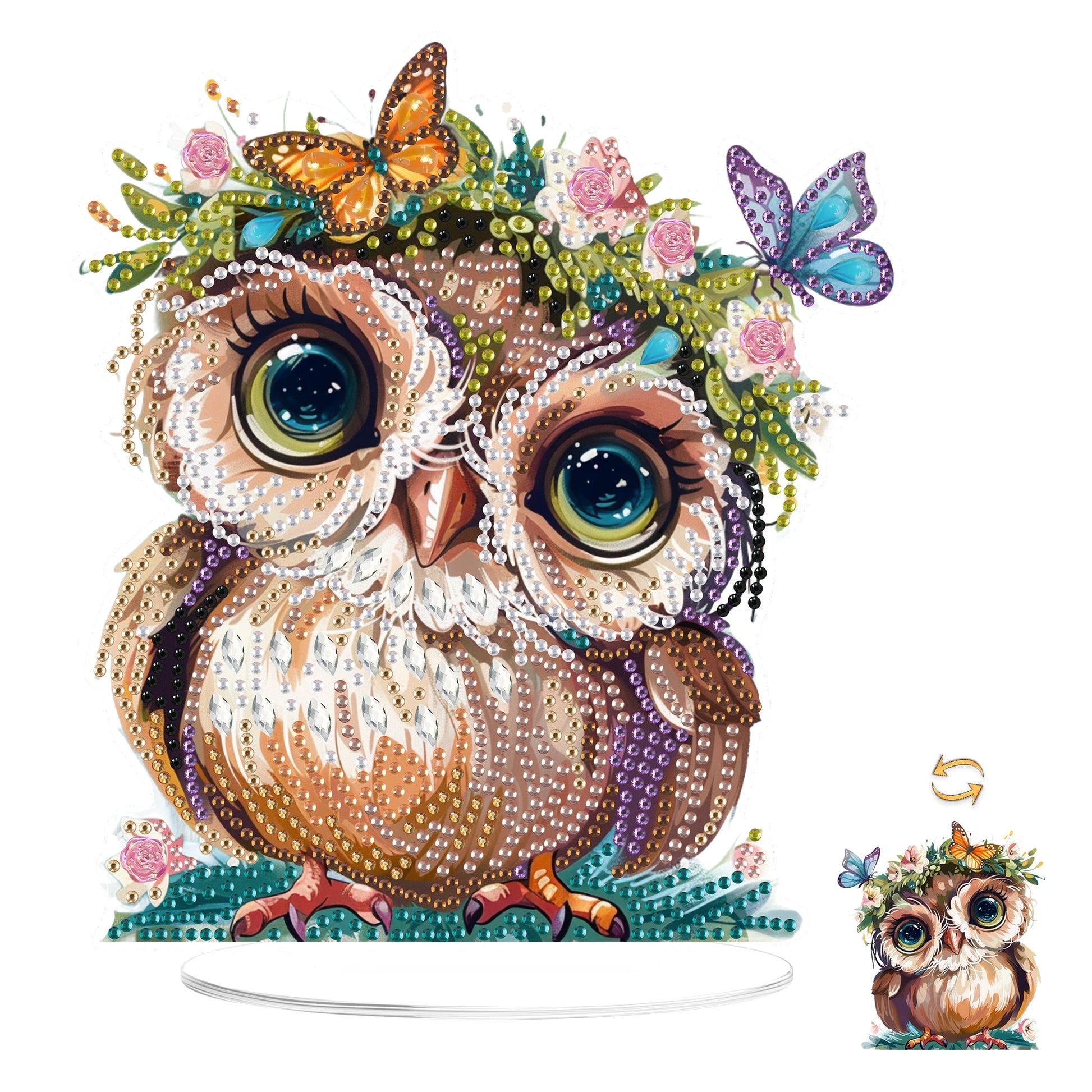 Cute Owl